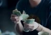 Searching for Knowledge About How To Make Money On the web? You Must Look At This Article!