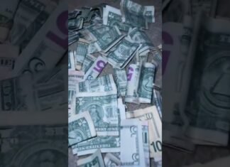 Be a part of the Wealth Wave with These Confirmed Cash Ideas #foulay #fyp